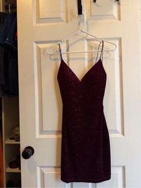 Windsor Sparkle Wine Velvet Mini Dress